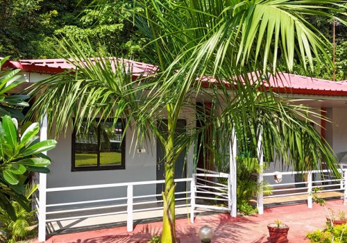 luxury-camps-rishikesh luxury-camps-rishikesh